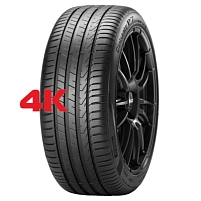 big_3938400.png_4014a0a7ef1bfe9643fa67a633cb446b_43000